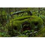 DIMEX ART Флизелинов фототапет автомобил, покрит с мъх 375 x 250 см