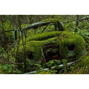 DIMEX ART Флизелинов фототапет автомобил, покрит с мъх 375 x 250 см