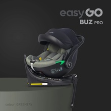 EasyGo Buz Pro 2024 Greener