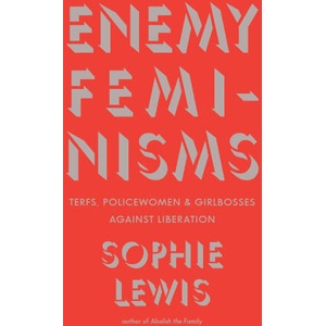 Enemy Feminisms (ISBN: 9798888902493)