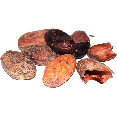Salvia Paradise BIO Kakaové boby nepražené celé neloupané Peru 1 kg