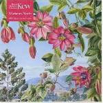 Flame Tree Publishing Puzzle 500 View in the Brisbane Kew Marianne Garden