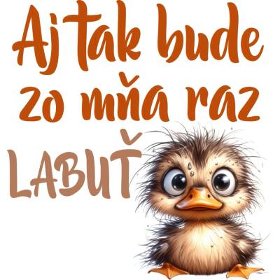 Nažehľovačka/DTF transfer Káčatko Nálepka - výška: A5
