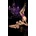 Ballerina's Secret Art. 500 Hold Ups Black L/XL