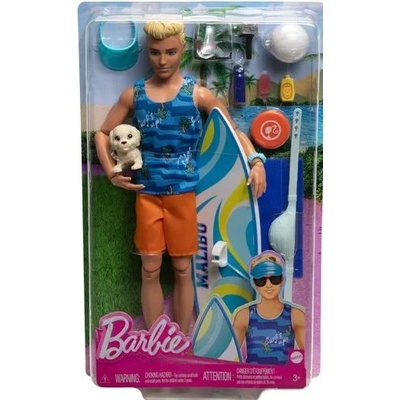 Barbie Ken surfař s doplňky