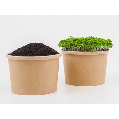 Tiny Greens Bazalka Pure - BIO semínka na klíčení a microgreens Množství: 50g