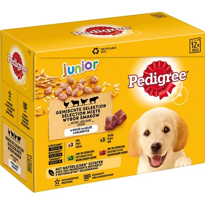 PEDIGREE 24х100г Junior Pedigree, консервирана храна за кучета - смесена опаковка (4 вида) в желе