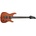 Ibanez S521-MOL