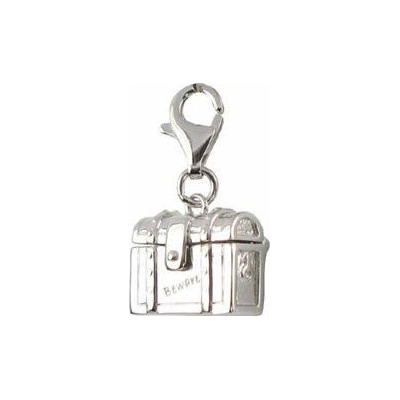 Stříbrný přívěsek Hot Diamonds Sunken Loot DT105