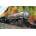 SunsOut - Puzzle Skagway Locomotive - 550 piese