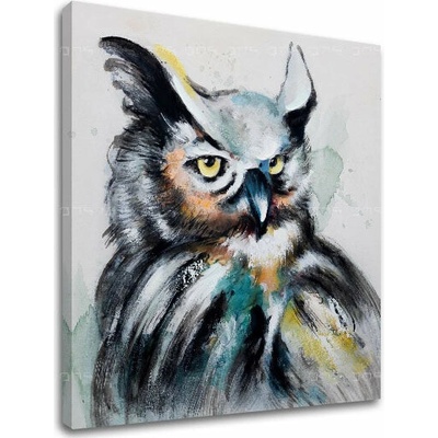 Obraz na plátne SOVA - 50x50 cm