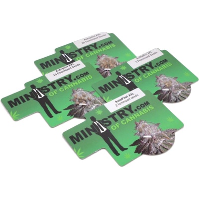 Ministry of Cannabis AUTO Pilot XXL semienka neobsahujú THC 5 ks