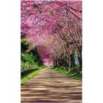 DIMEX ART Флизелинов фототапет цъфтяща алея 150 x 250 см