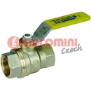 GIACOMINI R950