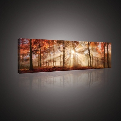 Postershop Obraz na plátně: Lesní rozbřesk - 145x45 cm