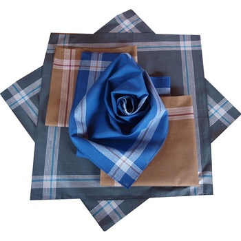 Etex pánské kapesníky bavlněné typ C