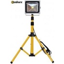 Genborx K1189Y