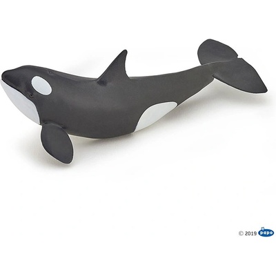 Papo - Фигурка Baby killer whale 56040