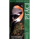 Ptáci