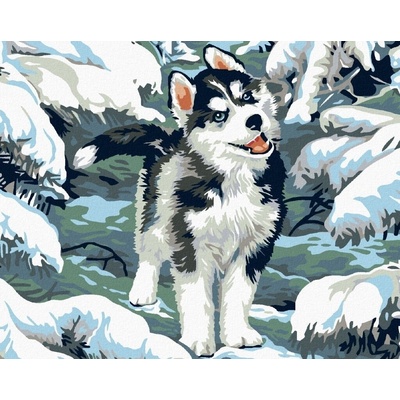 Zuty Диамантено рисуване Малко хъски (D00-050-040-64916)