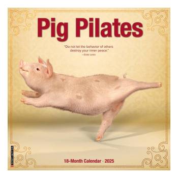 Willow Creek Press Calendars Pig Pilates 2026 12 X 12 Wall Calendar | Willow Creek Press
