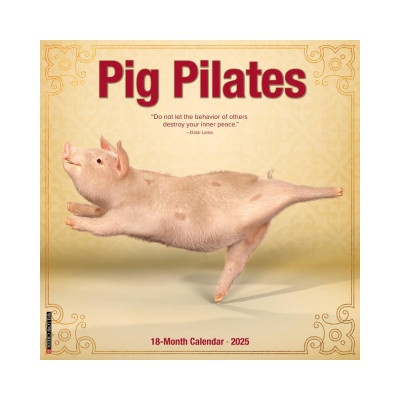 Willow Creek Press Calendars Pig Pilates 2026 12 X 12 Wall Calendar | Willow Creek Press
