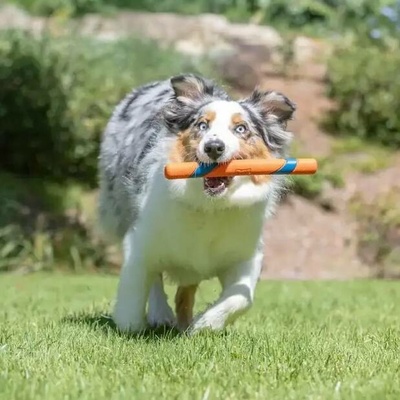 Chuckit! Aportovací tyč Ultra Fetch