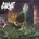 GRAVE: INTO THE GRAVE CD