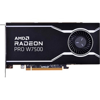 AMD Radeon Pro W7500 8GB GDDR6 (100-300000078)