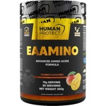 Human Protect EAAmino | with Electrolytes and Recovery Support [450 грама] Манго
