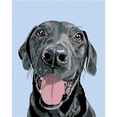 Zuty Malování podle čísel Černý krasavec 80 x 100 cm vypnuté plátno na rám