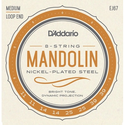 D'addario EJ67
