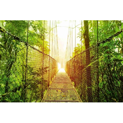 DIMEX ART Флизелинов фототапет висящ мост 375 x 250 см