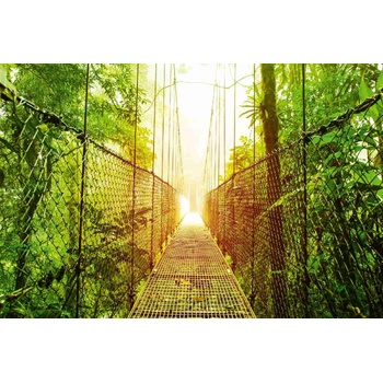 DIMEX ART Флизелинов фототапет висящ мост 375 x 250 см