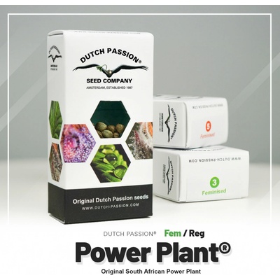 Dutch Passion Power Plant semena neobsahují THC 10 ks