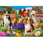 Enjoy - Puzzle Puppy Patch - 1 000 piese