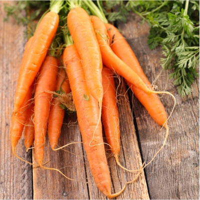 BIO Mrkev raná Amiva - Daucus carota - bio semena mrkve - 400 ks