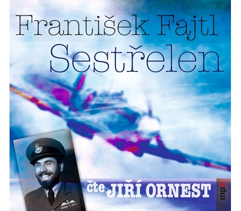 Sestřelen