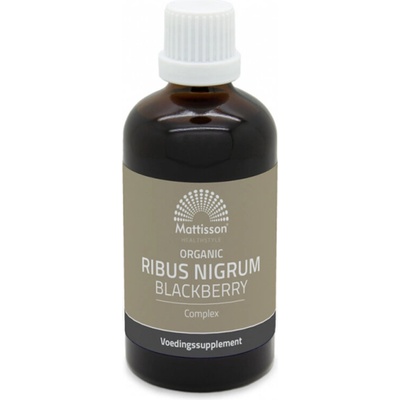 Mattisson Healthstyle Касис комплексна тинктура, БИО 100 ml | Mattisson Healthstyle (MT1119)