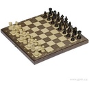 Logická Magnetické šachy II