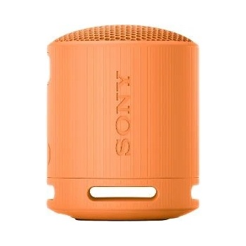 SRS XB100