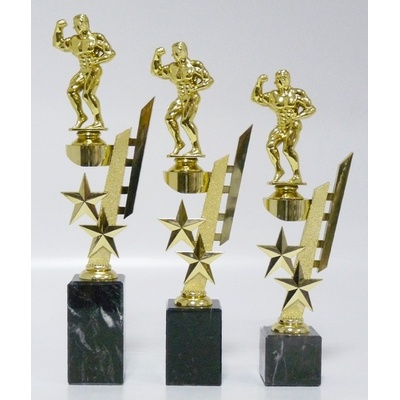 VIZINGR Kulturisti trofeje 38-F43 38-F43/30 cm