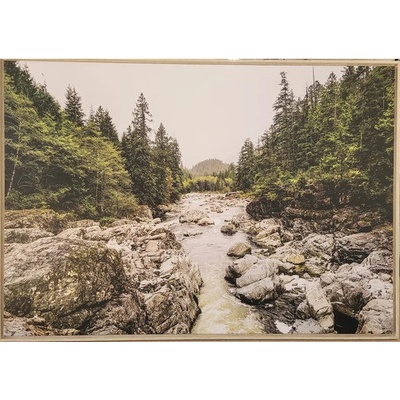 Obraz SHADOW 59x84cm Nature