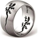 Ještěr prsten [RSS41]