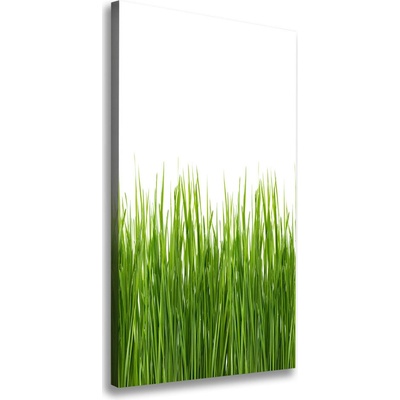 Vertikálny foto obraz na plátne Zelená tráva 50x100 cm