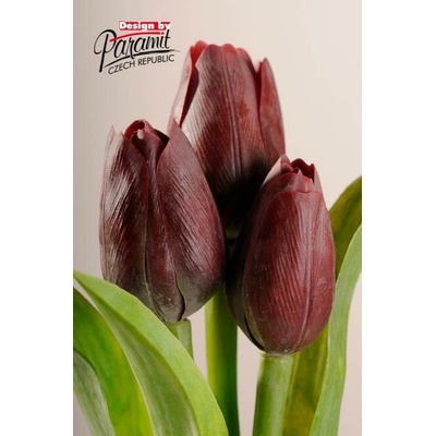 Kristian Samson Tulipán kus 40cm tmavobordový F244-R5