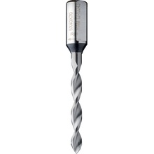 IGM C31403021