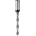 IGM C31403022