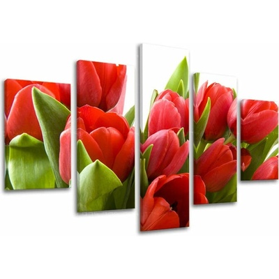 Obraz na stenu KVETY - 100x80