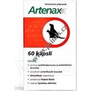 Folio Artenax 60cps